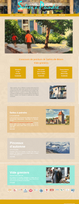Salies a peindre creation Site internet